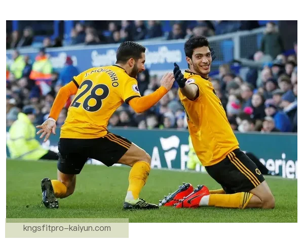 英超埃弗顿转会窗表现分析，持续增强竞争力值得关注